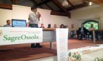 Domodossola
Le sagre ossolane diventano 14 Domodossola
Le sagre ossolane diventano 14