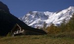 Macugnaga
Monte Rosa con gusto - Guide Alpine Macugnaga Macugnaga
Monte Rosa con gusto - Guide Alpine Macugnaga
