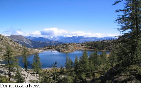 Macugnaga
Laghi alpini: sentinelle dei cambiamenti globali Macugnaga
Laghi alpini: sentinelle dei cambiamenti globali