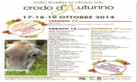 Crodo
Crodo d'Autunno