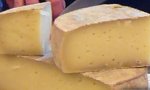 Domodossola
Formaggio Ossolano: pronto per concorrere alla DOP 