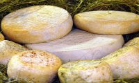 Domodossola
Formaggio Ossolano diventa DOP Domodossola
Formaggio Ossolano diventa DOP