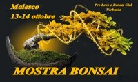 Malesco
MOSTRA BONSAI E SUISEKI