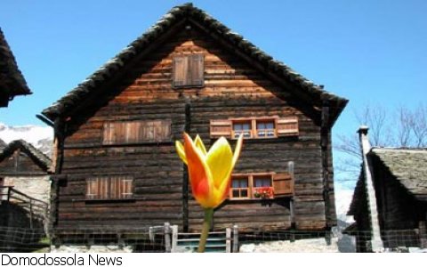 Premia
Convegno-degustazione AGRICULTURA La scienza nelle mani