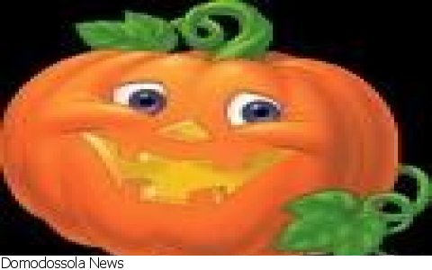 Verbania
Sagra della Zucca a Omegna