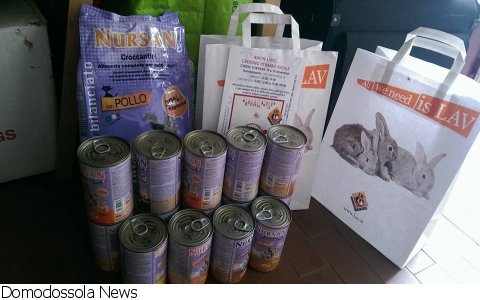 Domodossola
Successo della raccolta cibo e materiale per gatti della LAV