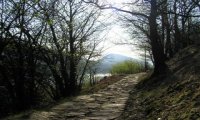 Mergozzo
Mergozzo: Lungo il sentiero del granito  Mergozzo
Mergozzo: Lungo il sentiero del granito