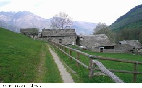 Bannio Anzino
FESTA DI SAN BERNARDO E DELL'ALPIGIANO