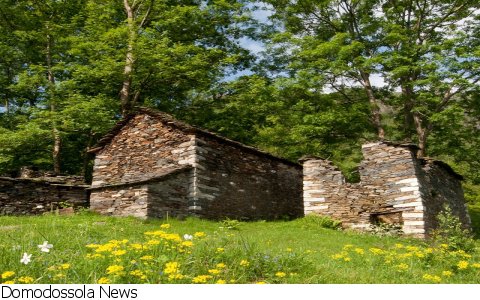 Verbania
Castagnata ed "erbe buone" a Cicogna